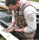 The Fish & Wildlife Service also has been involved in protecting fish in the Great Lakes.