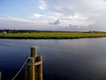 tidal marshes
