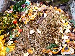 Organic waste for compost