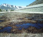 Current biochemical reactor appearance
