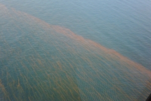 This sheen was caused by the subsea oil spill triggered by the Deepwater Horizon drilling rig