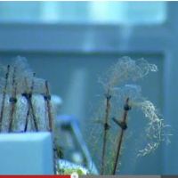 Dow helps farmers by providing innovative agriculture solutions.