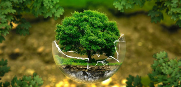 Three Environmental Issues and Ways to Combat -- Environmental Protection
