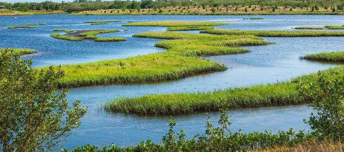 $1.69 Billion Awarded to Strengthen Florida Water Infrastructure and Resilience