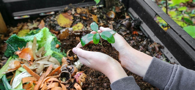 Transforming Climate Change with Composting Technology: A Sustainable Solution