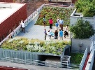 ASLA winning green roof