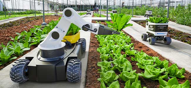 AgriFORCE Secures New Patent for Automated Growing Systems