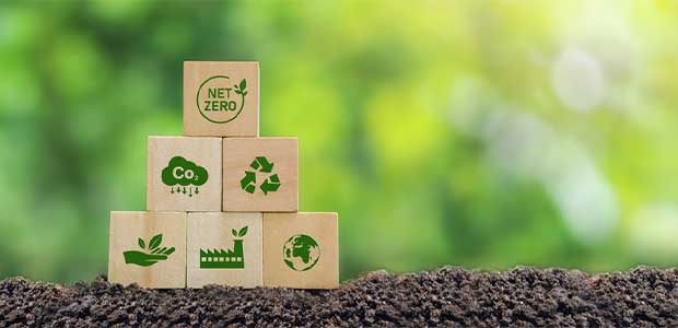 How Businesses Can Lead the Way to Net Zero