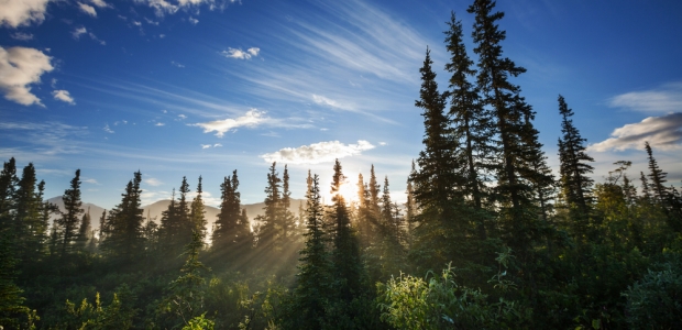 Forest Service, Alaska Working on State-Specific Roadless Rule