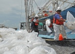 Workers recover oil-filled boom for decontamination as part of the response effort to the Gulf of Mexico oil disaster.