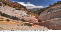 A Garfield County RS 2477 claim in Capitol Reef National Park. (photo copyright Ray Bloxham)