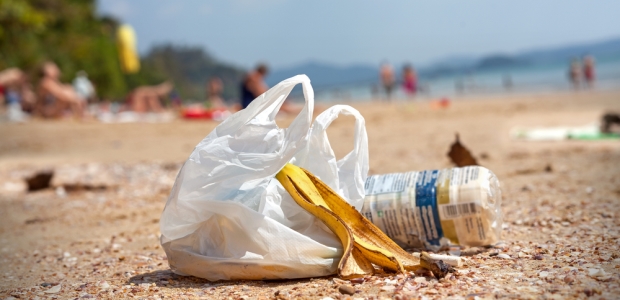 "Taking six billion plastic bags out of circulation is fantastic news for all of us – it will mean our precious marine life is safer, our communities are cleaner, and future generations won