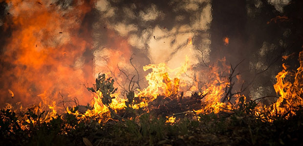 What Are Prescribed Fires and How Are They Used