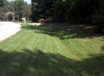Grass-lined channel
