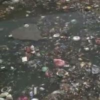 This IAEA video shows how researchers are analyzing water pollution levels and causes in Manila.
