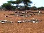 East-African Drought