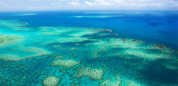 Coral Cover of Great Barrier Reef Improving in Some Areas