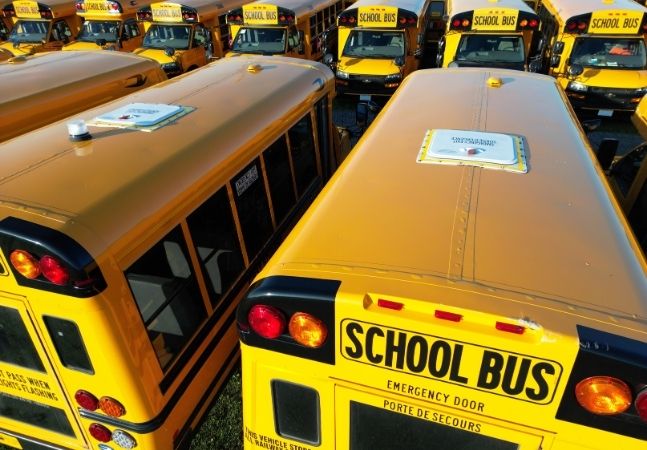 Fleet of school buses