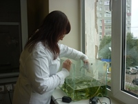Ms. Zavodskaya conducts one of the experiments testing the plant
