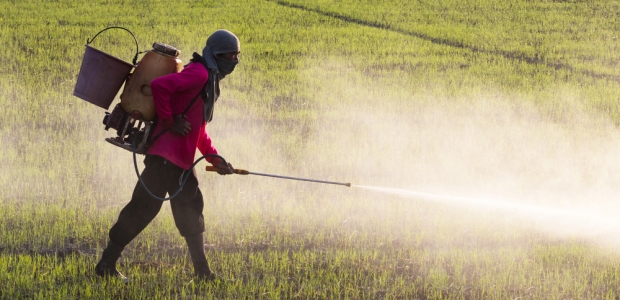 The Hidden Dangers of Chemical Fertilizers