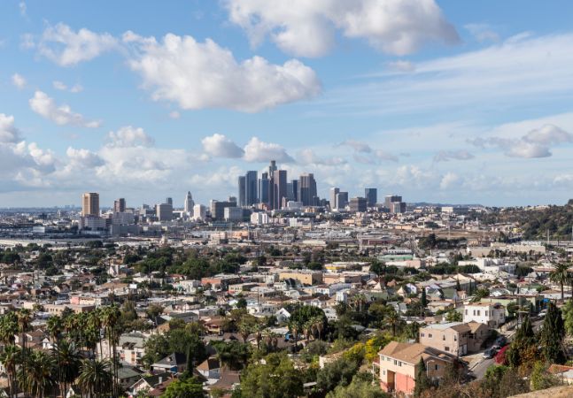 The City of Los Angeles