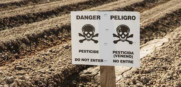 Alternatives to Chlorpyrifos Work Group Is Making Pest Management Safer and More Sustainable