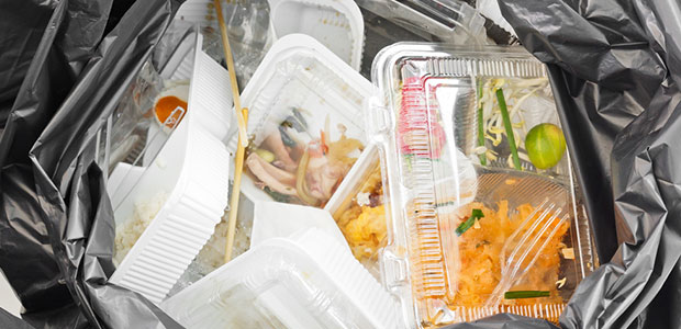 Food Waste Initiative: The What, When, and How of a New, American Food Waste Solution