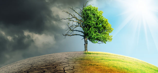 U.S. Climate Vulnerability Index Pinpoints Highest-Risk Areas