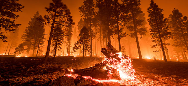 DOL Allocates Additional $2.9 Million for Recovery Efforts in Northern California Wildfires