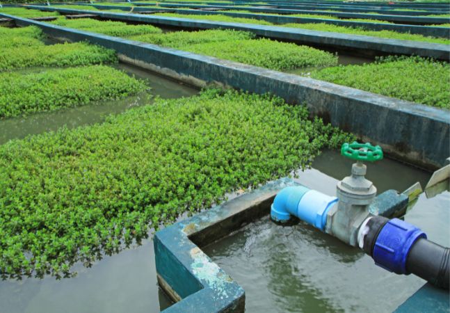 Wastewater treatment plant