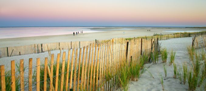 New England Beach Conservation
