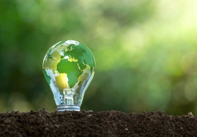 green world map is on a light bulb that represents green energy