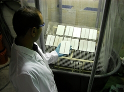 Scientist checking corrosion