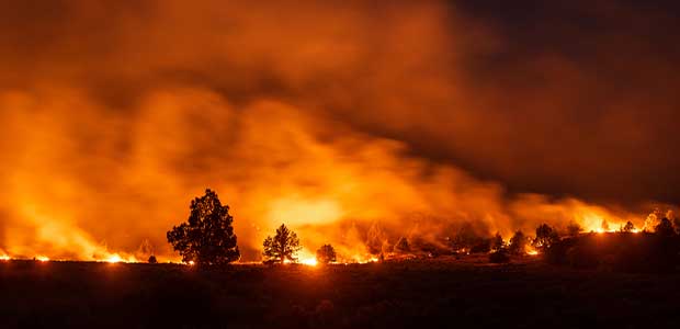 fire blazes in forest