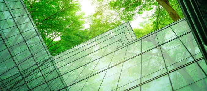 Sustainable Building with Trees