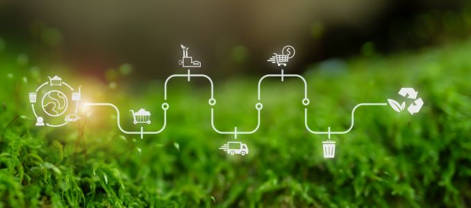 Green Sustainability
