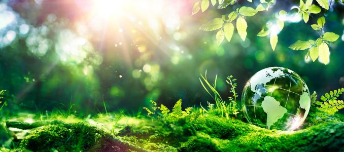 Green Environment Globe