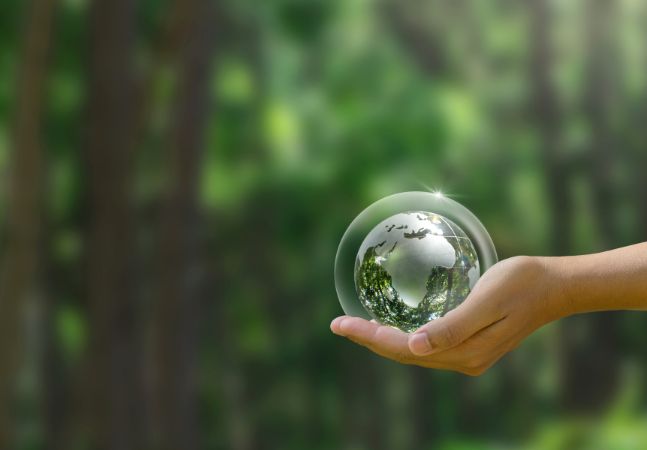 Hand Holding a Globe