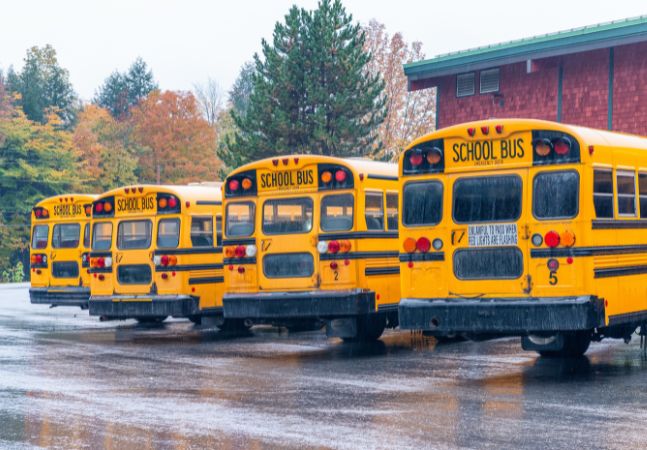 Row of school buses