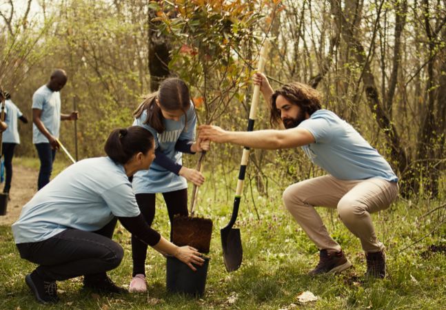 Group of people planting a tree