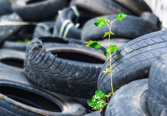 Tires laying in field