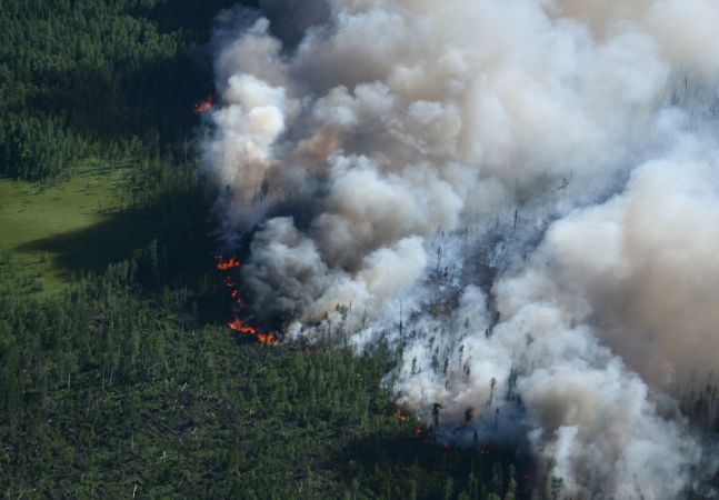 Aerial view of forest fire