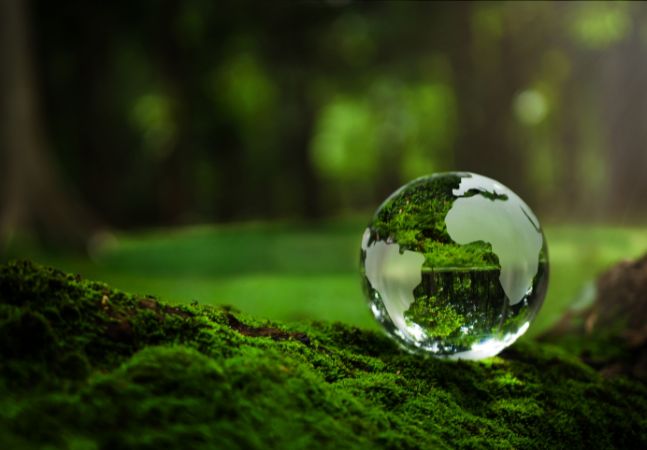 Circular globe on forest floor