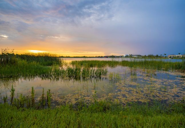 Lake at sunset in Florida