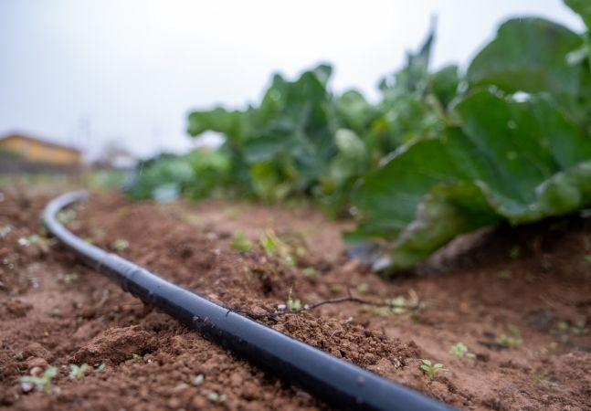 Water irrigation system on farm