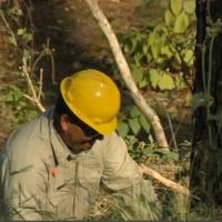 The Texas Parks & Wildlife Department