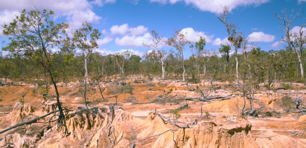 report-warns-of-arable-land-losses-environmental-protection